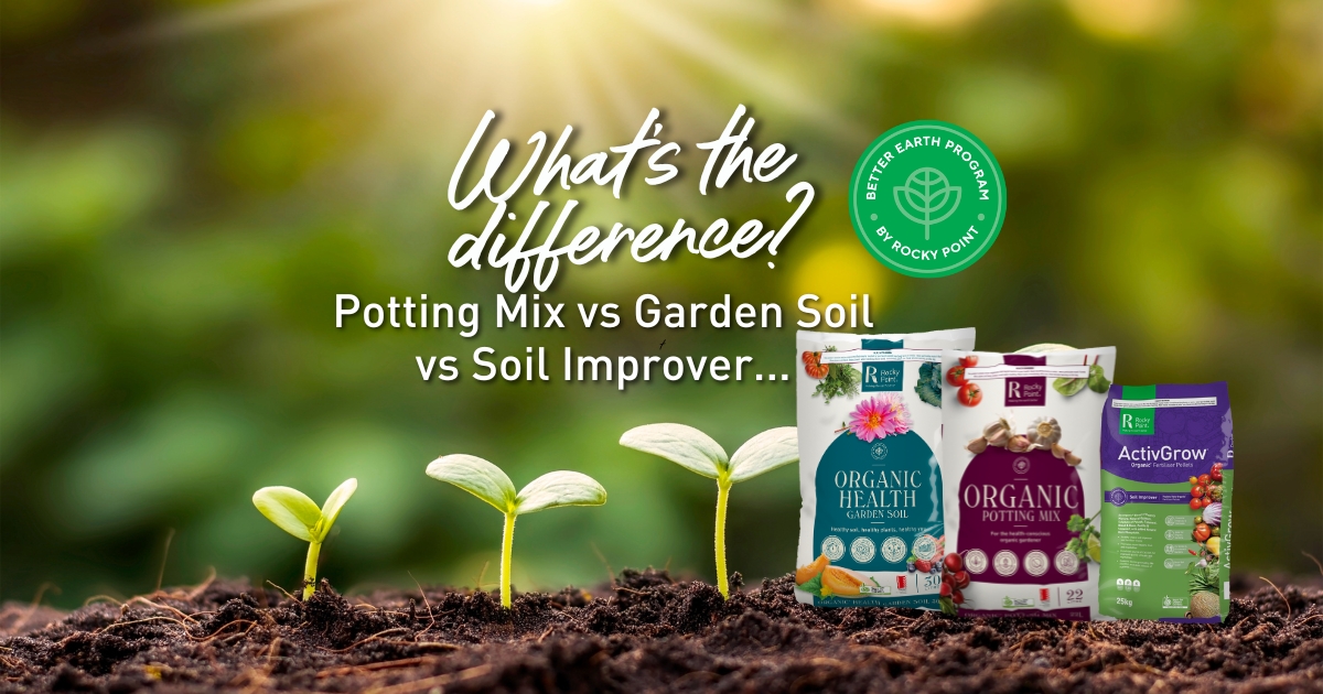 Potting Mix vs Garden Soil vs Soil Improver... What’s the difference?